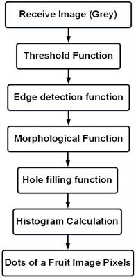 Quality detection and grading of peach fruit based on image processing method and neural networks in agricultural industry